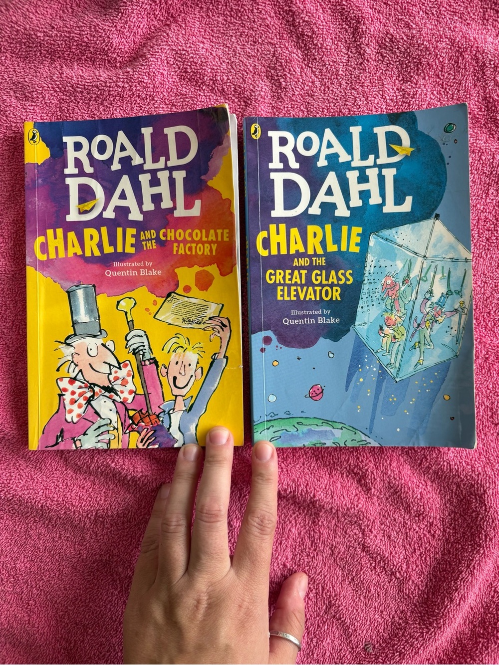 Roald Dahl Charlie and the Chocolate Factory Great Glass Elevator 2 Book Lot